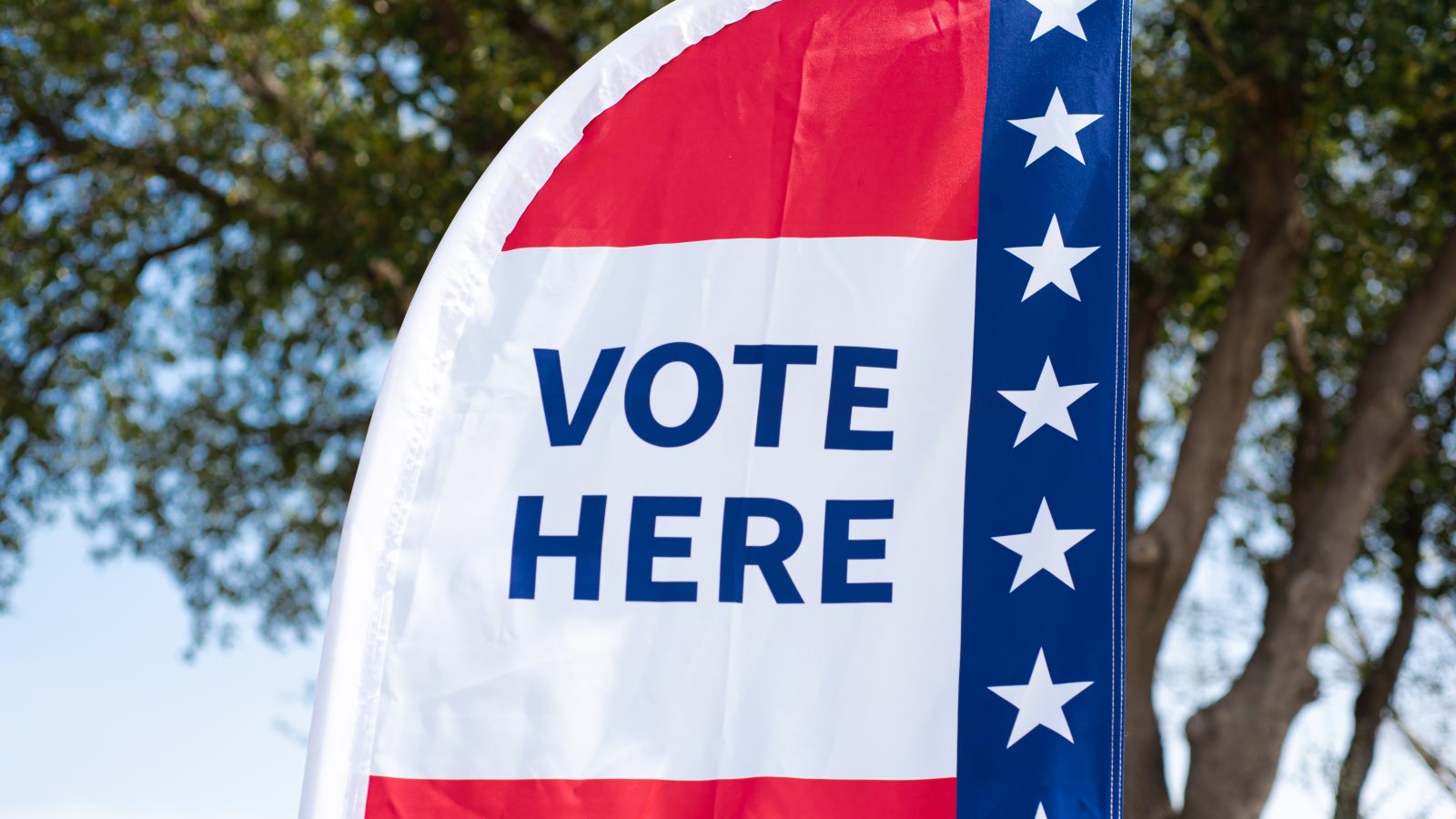 vote here flag