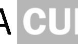 Nevada Current logo.