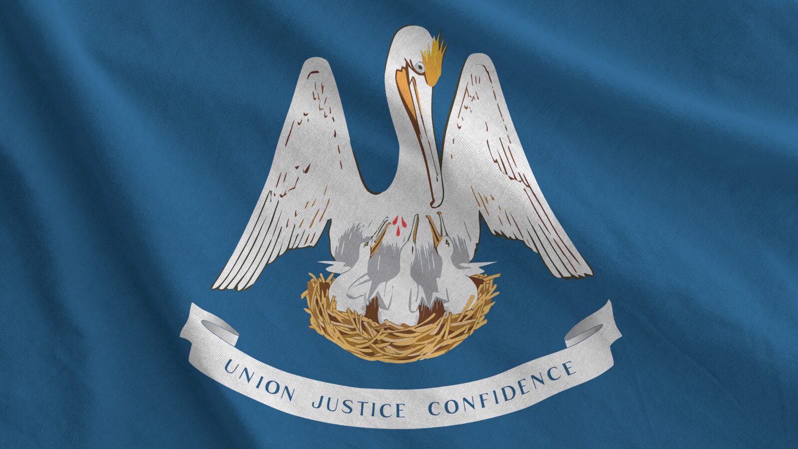 Louisiana Anti-Sweeps Bill