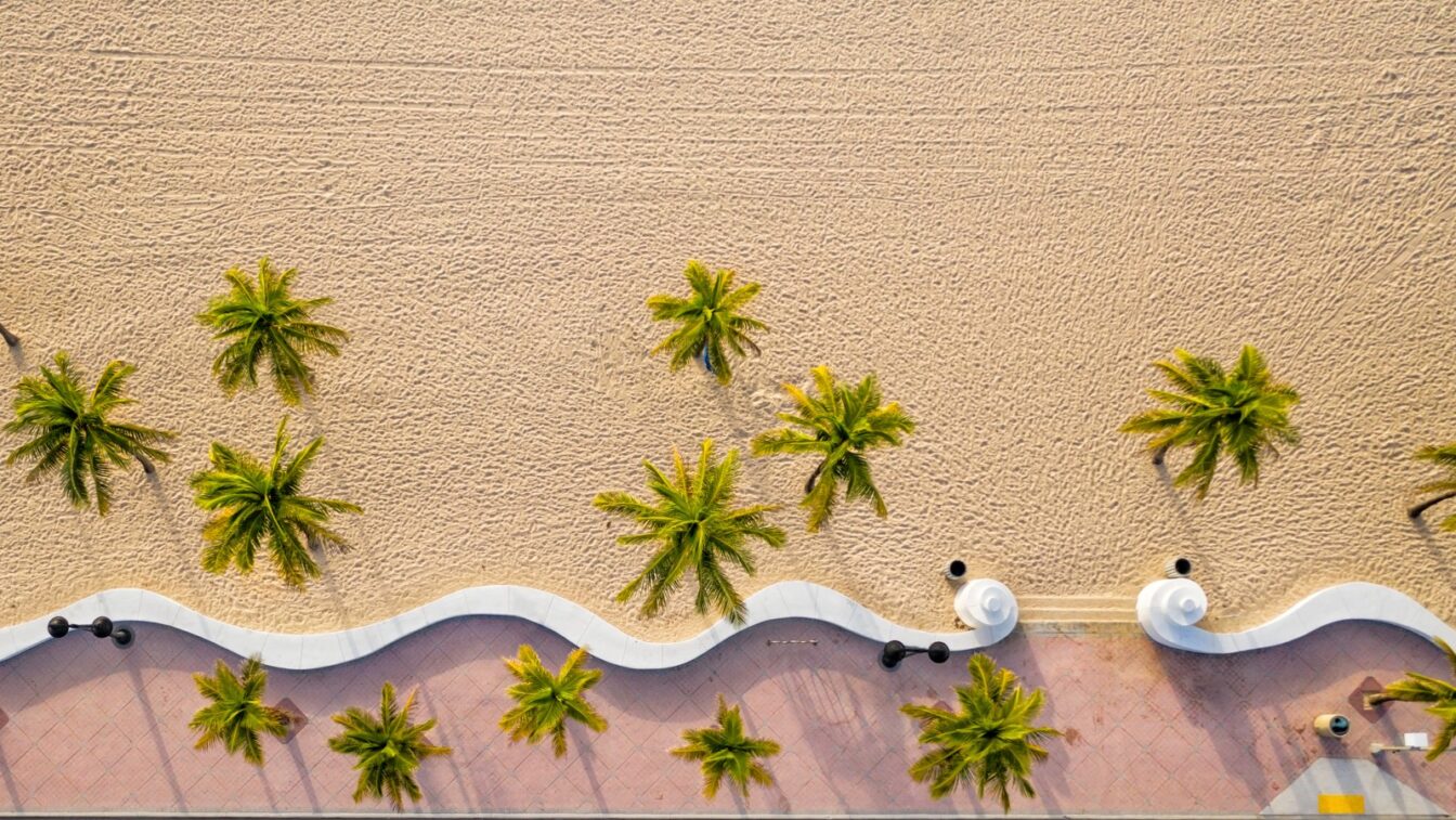 beach overhead