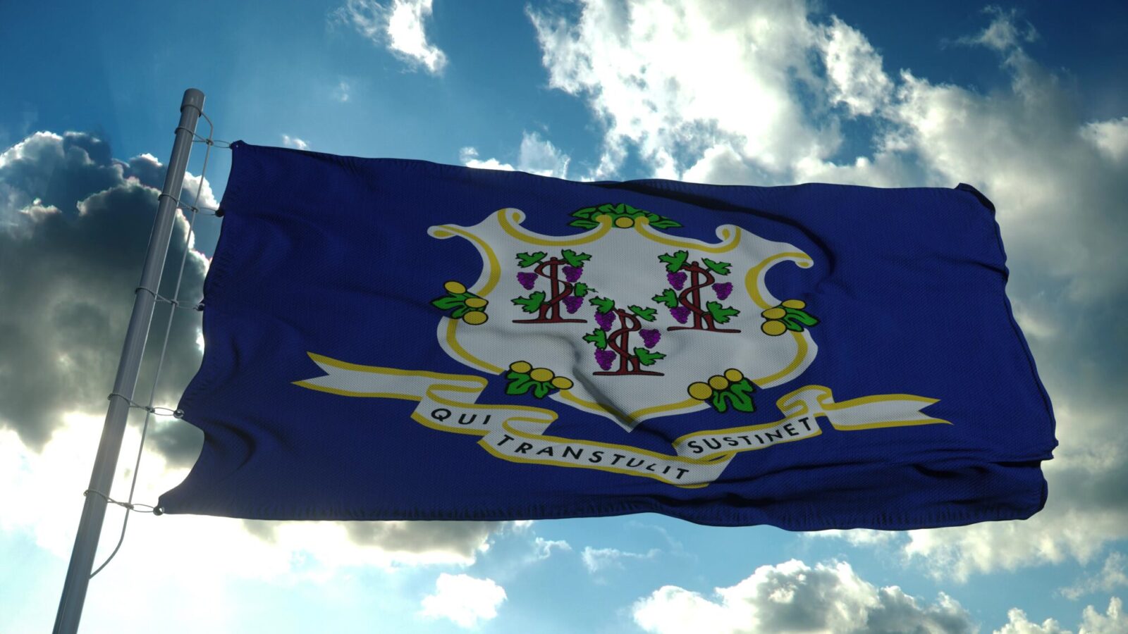 Connecticut anti-sweeps bill