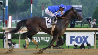 sovereignty wins belmont