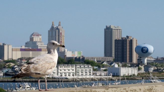 New Jersey 2025 online casino revenue