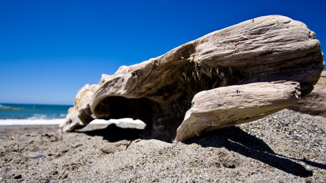 big-lagoon-beach-humboldt-county