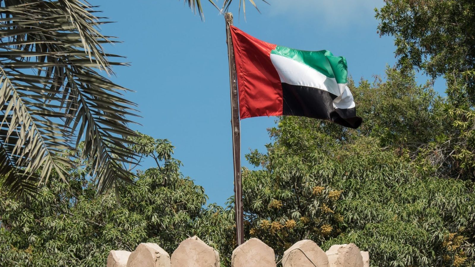 united arab emirates flag